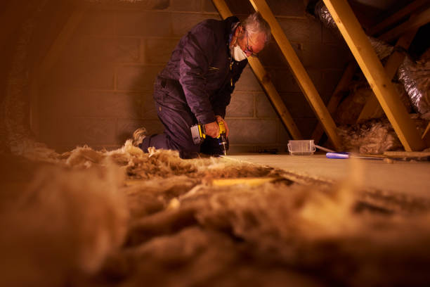 Best Eco-Friendly Insulation in Wasco, CA